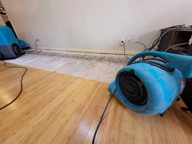 Professional Ceiling Water Damage Repair technician working in Britton, SD