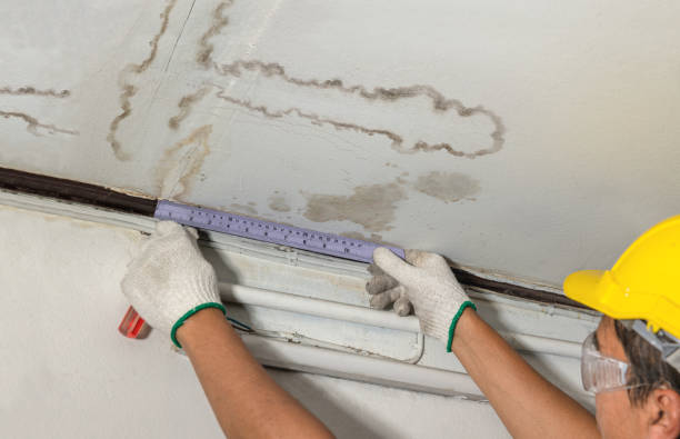 Affordable Ceiling Water Damage Repair solutions in Britton, SD
